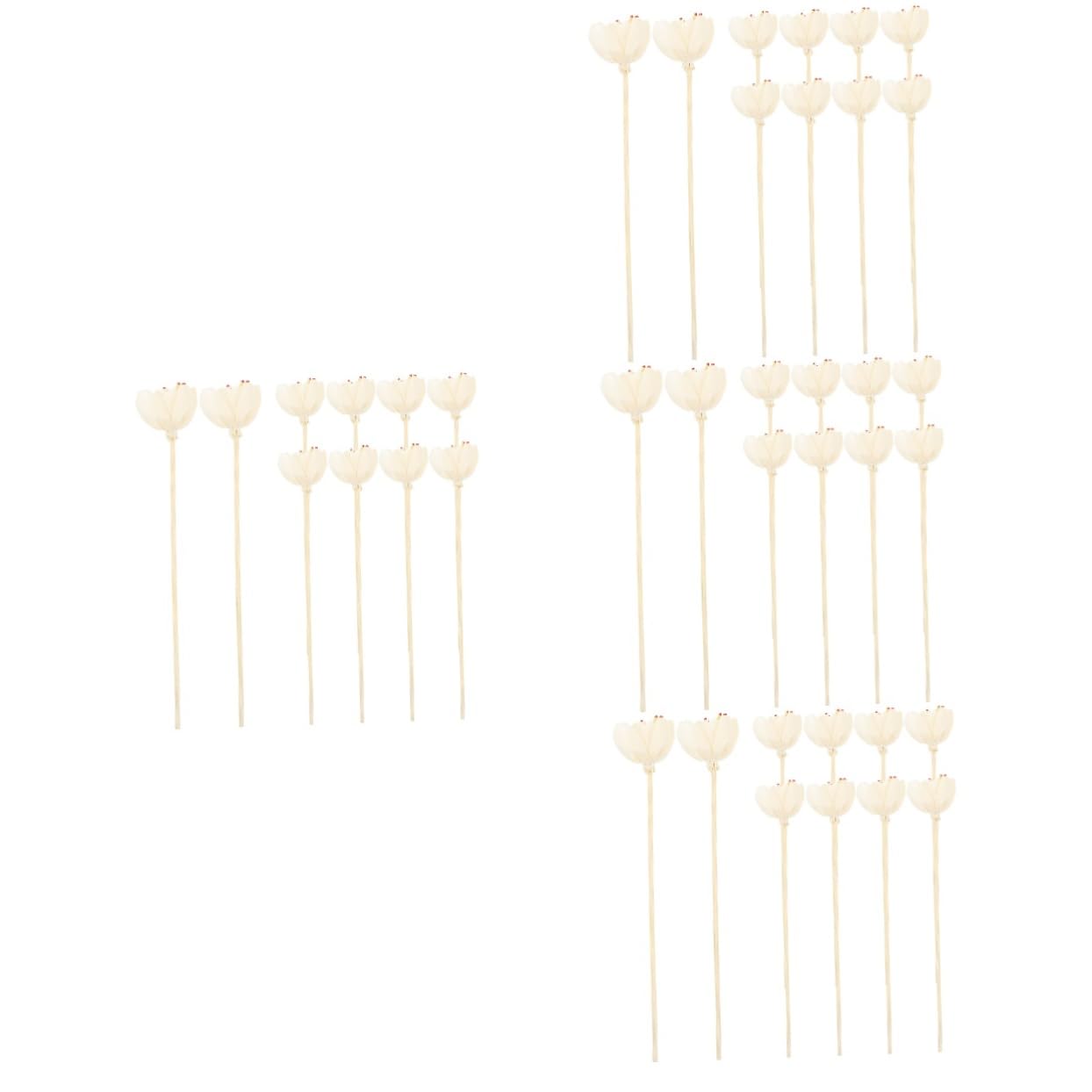 BESTOYARD 40stücke Duftdiffusor-Sticks Aus Trockenblumen Für Ätherische Öle Raumdekoration Für Schlafzimmer Wohnzimmer Und Wellnessbereiche Entspannende Aromatherapie Zubehör