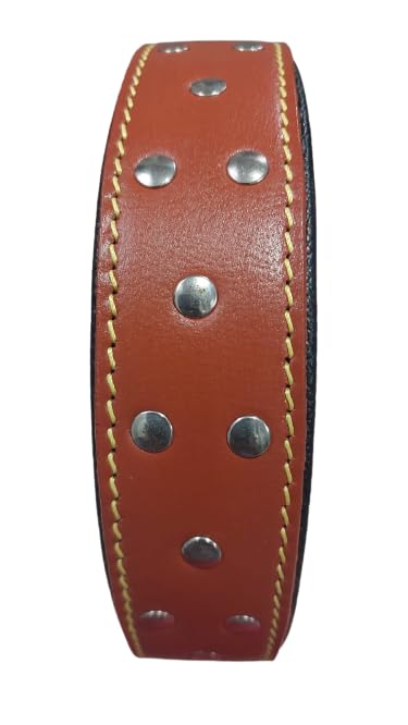Image of Dog Collar Genuine Leather Belts Heavy Duty Padded Adjustable Small Medium Large with Studded, 49 cm x 1.25 inch, tan
