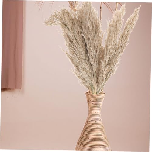 Decoración natural de flores secas ULTECHNOVO 15 piezas miniatura 5