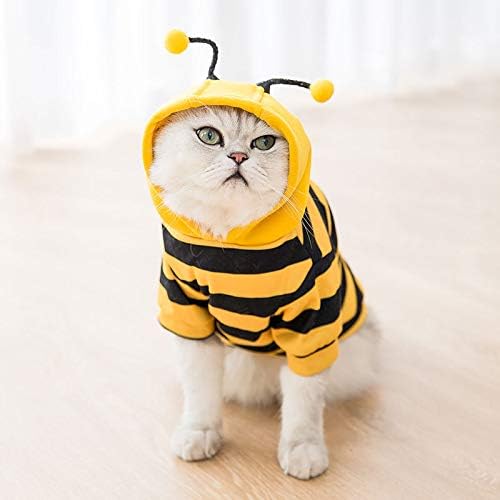 Bee Hoodie pet Dog Clothes Cartoon Costume Dog Super Small Costume cat Cute  Print Autumn Yellow boy Mascot A2 M : Amazon.ca: Pet Supplies