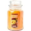 Yankee candle mango peach salsa scented classic 22oz large jar single wick candle over 110 hours of burn time  urban country home decor