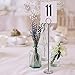 MODERN LIFE DECOR 12 Inch Table Number Holder Stand (12 Pack) Sturdy Chrome Place Card Holder To Use As Restaurant Table Numbers, Menu Holder, Photo Stand & more - Bonus Set of Numbered Cards Included