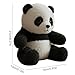 Zyntora Peluche De Oso Panda Imagen de Zyntora Peluche De Oso Panda