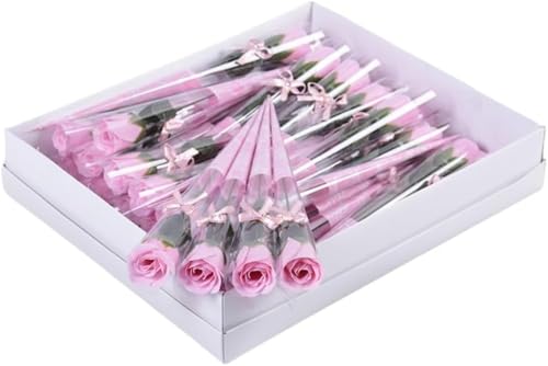 Xiraivke 32{ \[vt[ KN  ʕ ͂Ȃ Mtg (sN)