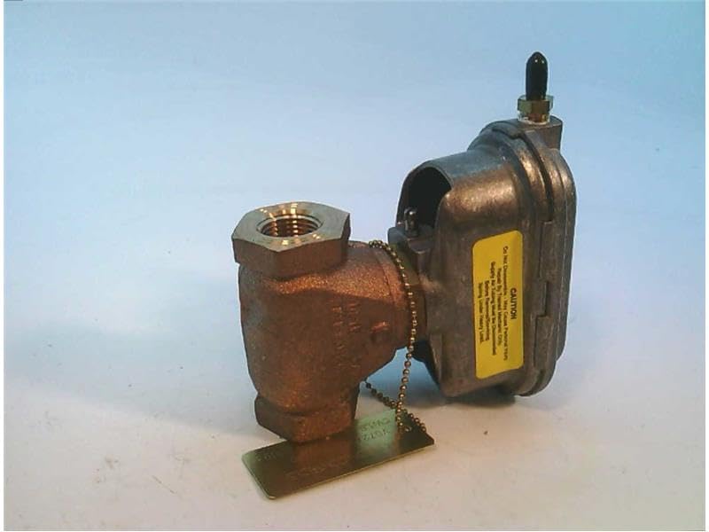 トップブリッジ ウィシィワァシィ ローカル ティート