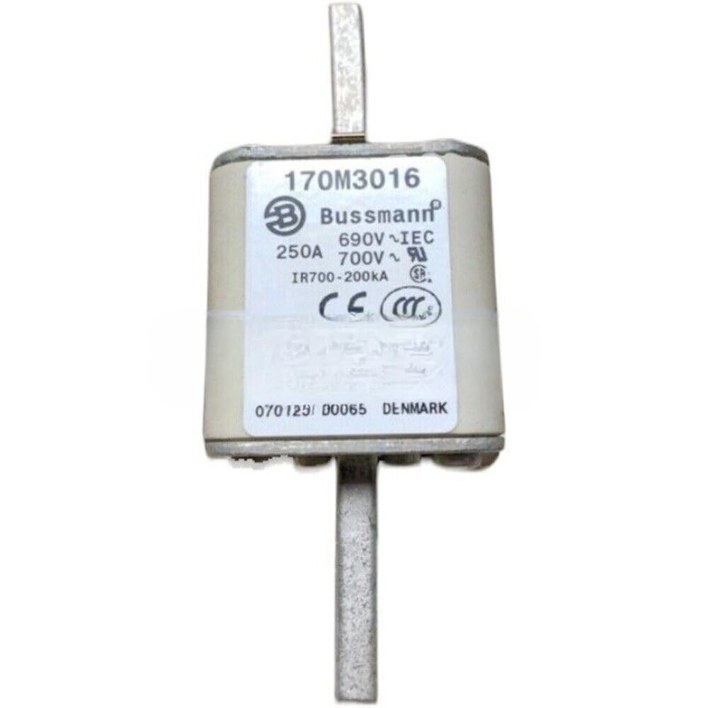 1-Piece New for Fuse 170M3016 690V 250A