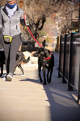 Ollydog Tilden Waterproof Dog Leash, Adjustable From 4Ft To 6Ft, Biothane Dog Leash With Metal Swivel Hook (Pink) #TOP4