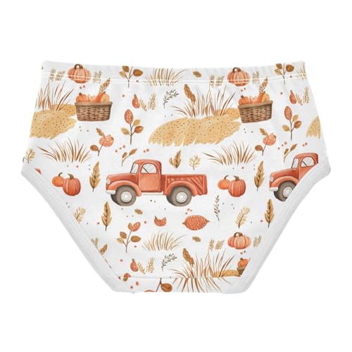 ZZKKO Farm Truck Crops Farmhouse Girls Underwear Toddler Panties for Girls Comfort Brief Size 2-8T2