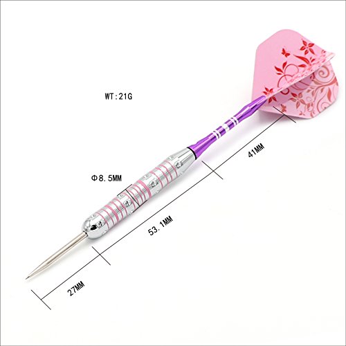 Black Scorpion CUESOUL Pink Ladies 21/23 Grams Steel Tip Darts with 2 Different Sets Aluminum Shafts (C.FB.DHOL-F1207, 21g)