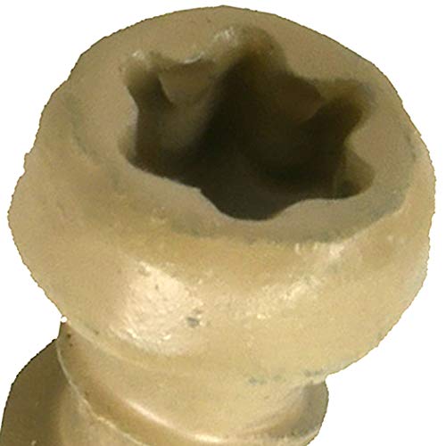 Deck Plus Tan Star-Drive Composite Deck Screws #10 x 2-1/2", 75 Pack miniatura 7