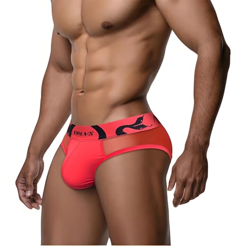 Men's Ice Silk Mesh Briefs Underwear Low Rise Bikini Panties Breathable Convex Underpants