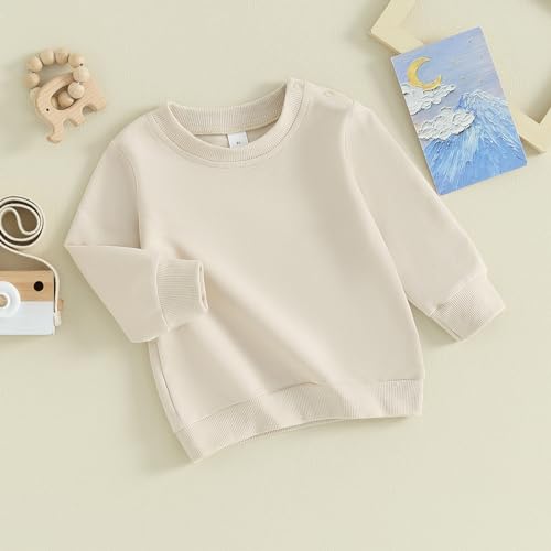 Toddler Baby Boys Sweatshirts Long Sleeve Crewneck Solid Color Pullover Fall Tops3