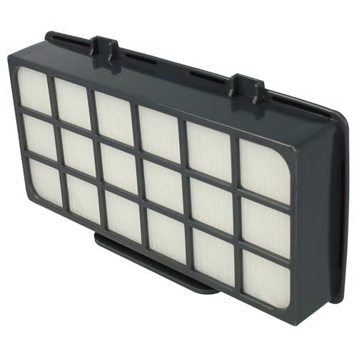 Filtre Rowenta X-Trem Power Cyclonic RO6920EA pour maison saine