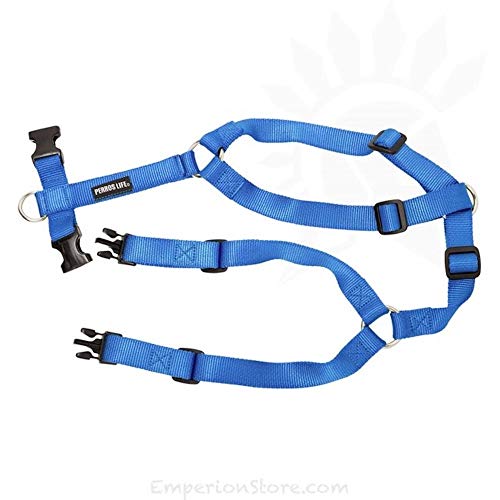 PERROS LIFE Pettorina alla Romana Modello ad H Cane Torace 61-85 cm Peso 20-28 kg (Blu)