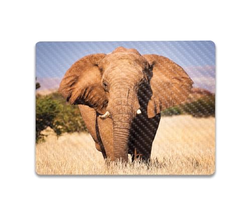 Image of MightySkins Carbon Fiber Skin Compatible with Microsoft Surface Laptop Go 3 (2023) Full Wrap Kit - Elephant | Protective, Durable Textured Carbon Fiber Finish | Made in The USA