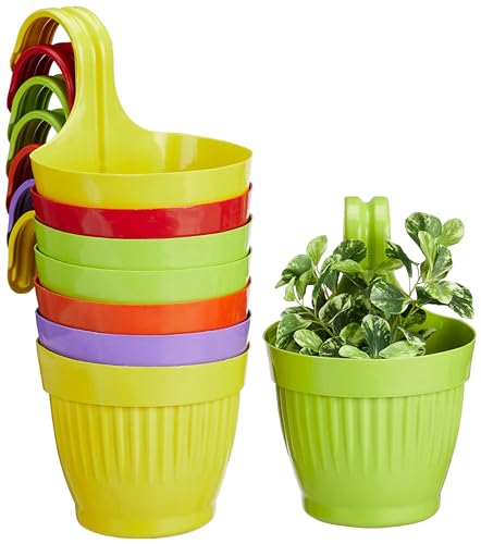 Amazon Brand – Solimo 100% Virgin Plastic Hanging Planter | Hangi...