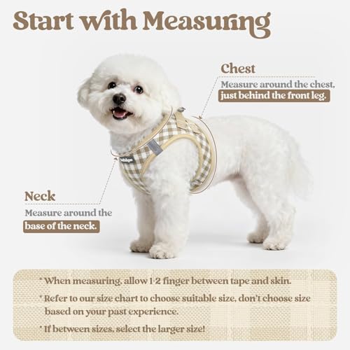 Image of rabbitgoo Dog Harness Small Sized and Leash Set, Step-in Puppy Pet Vest