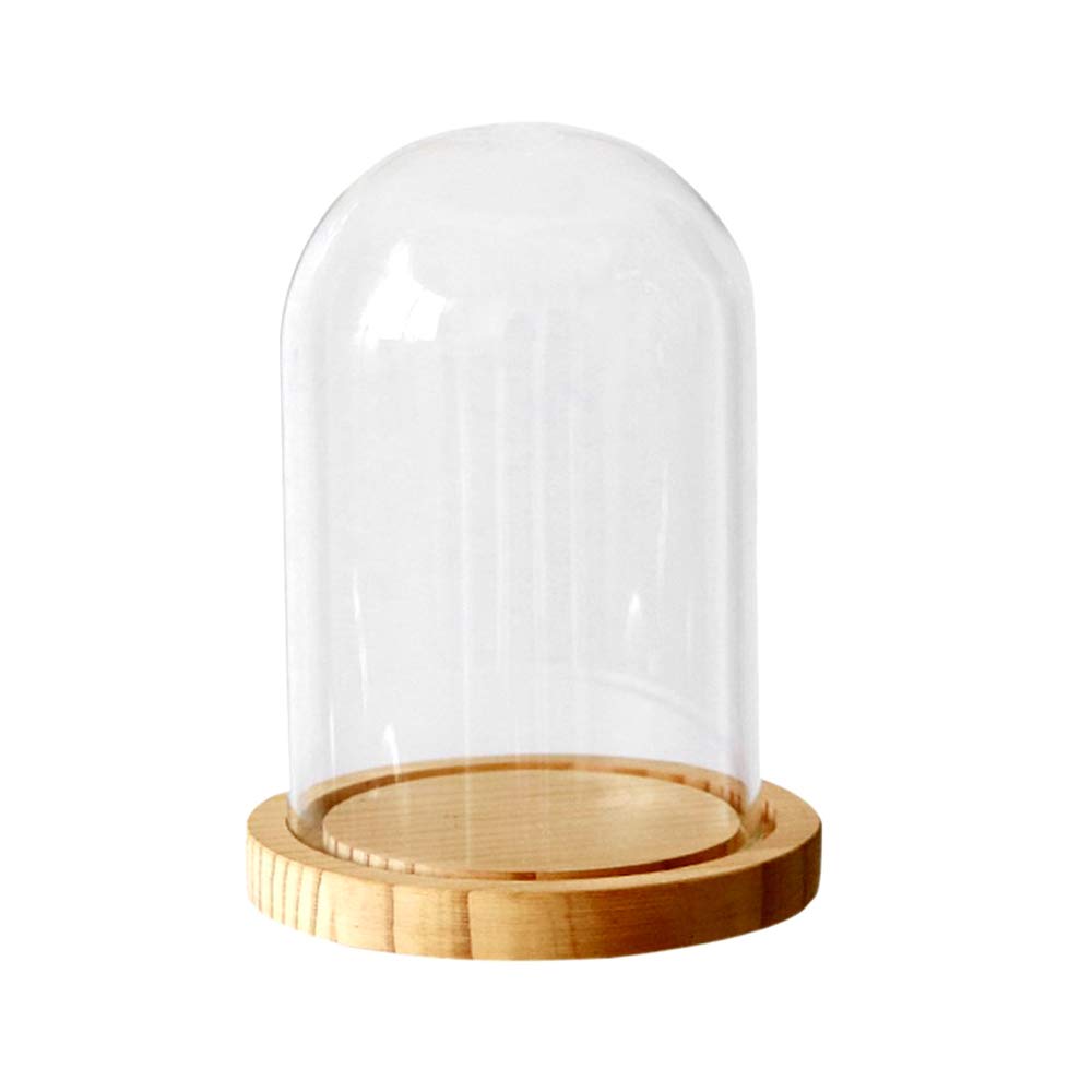 Ivolador 7" x 4" Glass Display Cloche Dome with Solid Wood Base Large Size Office Home Decoration