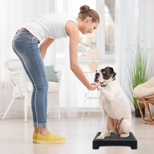 Hundetraining-Platzbrett mit Rutschfester Oberfläche, Hundeplattform für Training, tragbare Hunde-Agility-Plattform, Hundetrainingsständer, Hundetrainingsgerät geeignet für kleine, mittelgroße Hunde