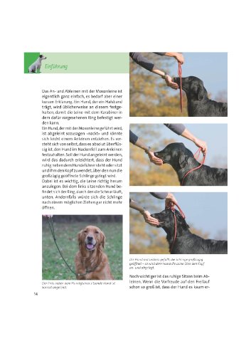 Dummy-Training (Die Hundeschule)