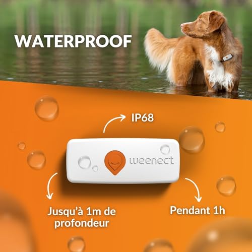 GPS-Tracker für Hunde Weenect XS mit Echtzeitortung und SIM-Karte