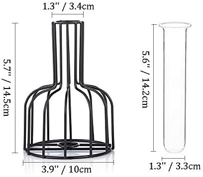 Glass Propagation Station with Metal Frame, Set of 2 Black Flower Vase, Test Tube Vase for Hydroponic Plant, Small Bud Vase for Home Kitchen Office Table Top Decor, Black