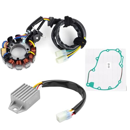 Bobine de stator haute conductivité et régulateur thermique pour circuit CRF450X