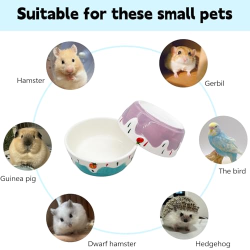 Hamiledyi 2 Pack Hamster Food Bowl,Small Animals Ceramic Food Water Bowl Prevent Tipping Moving For Guinea Pig Gerbil Chinchilla Hedgehog Rat thumb #6