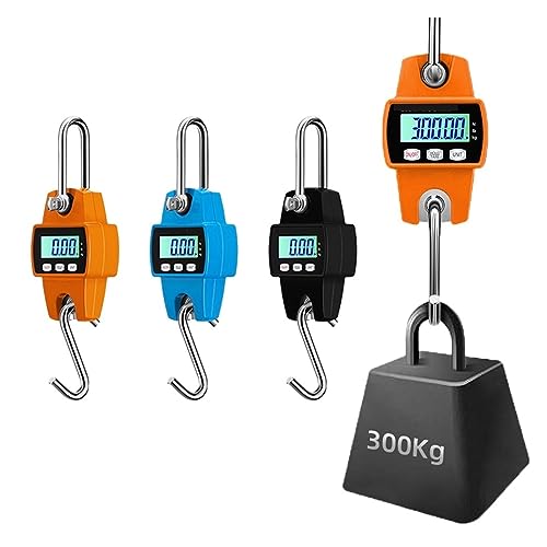Peser des charges lourdes sans fatigue avec la balance de grue 300 kg