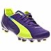 PUMA Men's Evospeed 4.3 Firm Ground Soccer Shoe