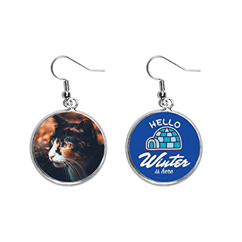 Pendientes de gato marrón vintage con perfil de animal para invierno