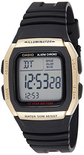 casio d055