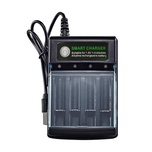 Uitndvyte batteria alcalina 1.5V che carica scatola con 4 slot e caratteristiche di carico indipendente