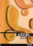  Excel 2003