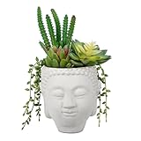 GnFlus Fake Succulent in Buddha Head Pot Zen Garden Artificial Arrangement Fake Succulent Potted Plant for Home Office Desk Bathroom Shelf Living Room Indoor Outdoor Decor