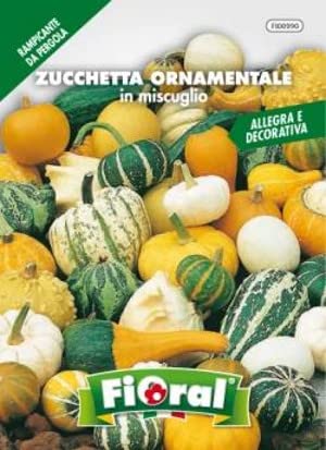 Sementi da fiore di qualità in bustina per uso amatoriale (ZUCCHETTA ORNAMENTALE IN MISCUGLIO)