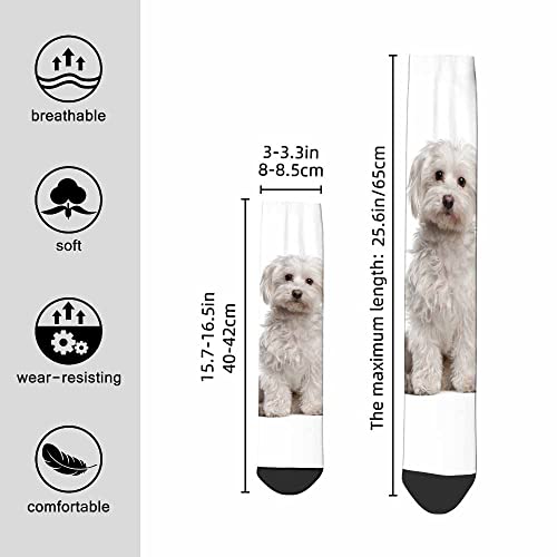 Image of Pehede Socks Mens Fun Dress Socks for Women Funny Novelty Crazy Design Socks