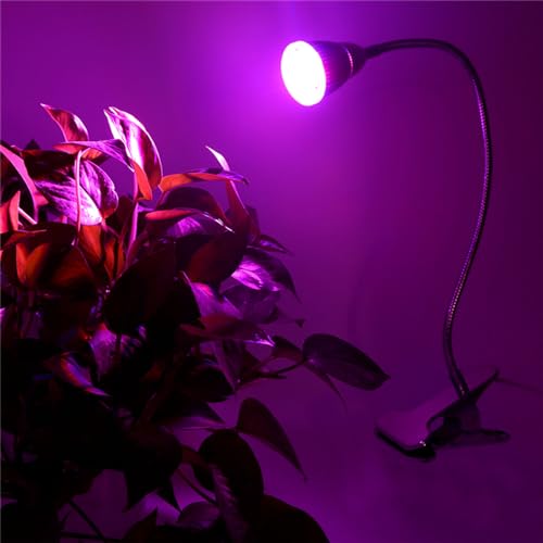 Xgrthreeh HGR-GL-01 Clip On Grow Light For Plants Indoor, Led Full Spectrum Small Plant Light Grow Lamps With Clamp Flexible Gooseneck Mini Grow Lights thumb #4