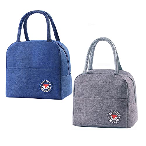 ZOOMPIL 2pcs Thermo-Tragetasche, tragbare Lebensmittel-Tragetasche, Arbeitstasche Isothermaltasche, Lunch-Tasche, kleine Strand-Kühltasche, Bento-Tasche, luftdichte Lunchtasche, Picknicktasche Cover