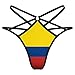Colombian Flag Women's Low Rise Micro T-Back ,M Women's Thong, Fashion Ladies Underwear ,Panties for Women Girls