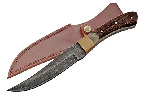 Damascus Szco Supplies Skinning Knife