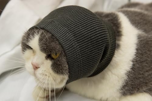 Image of Cat Ear Wrap Dedication Cat Ear Cover Comfy Bath Accessories Neck Gaiter for cats Grey S