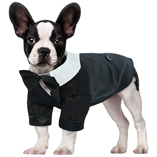 Hjumarayan 2er-Set Hunde Tshirts - Kirsch Design Für Kleine Hunde