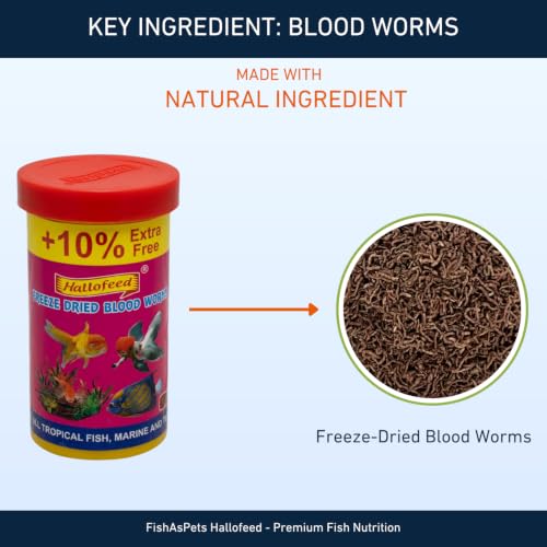 Image of Hallofeed Freeze Dried Blood Worms Fish Food - 22 Grams | Natural High-Protein Aquarium Feed | Enhances Color & Growth for Bettas, Cichlids, Goldfish & Tropical Fish