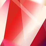 悲劇の元凶となる最強