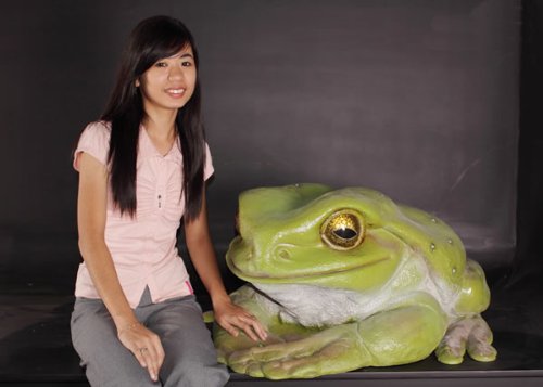 Amazon.co.jp: アニマルビッグフィギュアシリーズ【ジャンボカエル