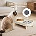 Elevated Cat Bowl, Raised Cat Food and Water Bowl Set for Indoor Cats, Splash Proof with 2 Stainless Steel Pet Food Bowls for Cats and Puppies, Whisker Fatigue and Dishwasher Safe - White