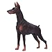 Figure di animali, modello di animale ad alta simulazione Doberman Forma Bambola di animali selvatici Educazione Cognizione Giocattolo Decorazione Regalo per bambini