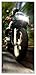 Produktbild posterdepot Türtapete Türposter Fahrendes Motorrad im Wald mit Herbstlaub - Größe 93 x 205 cm, 1 Stück, ktt0042