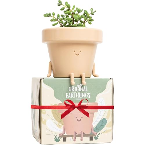 Original Earthlings Sitting Small Plant Pot - 4 Inch Cute Plant Pot - Succulent & Cactus Christmas...